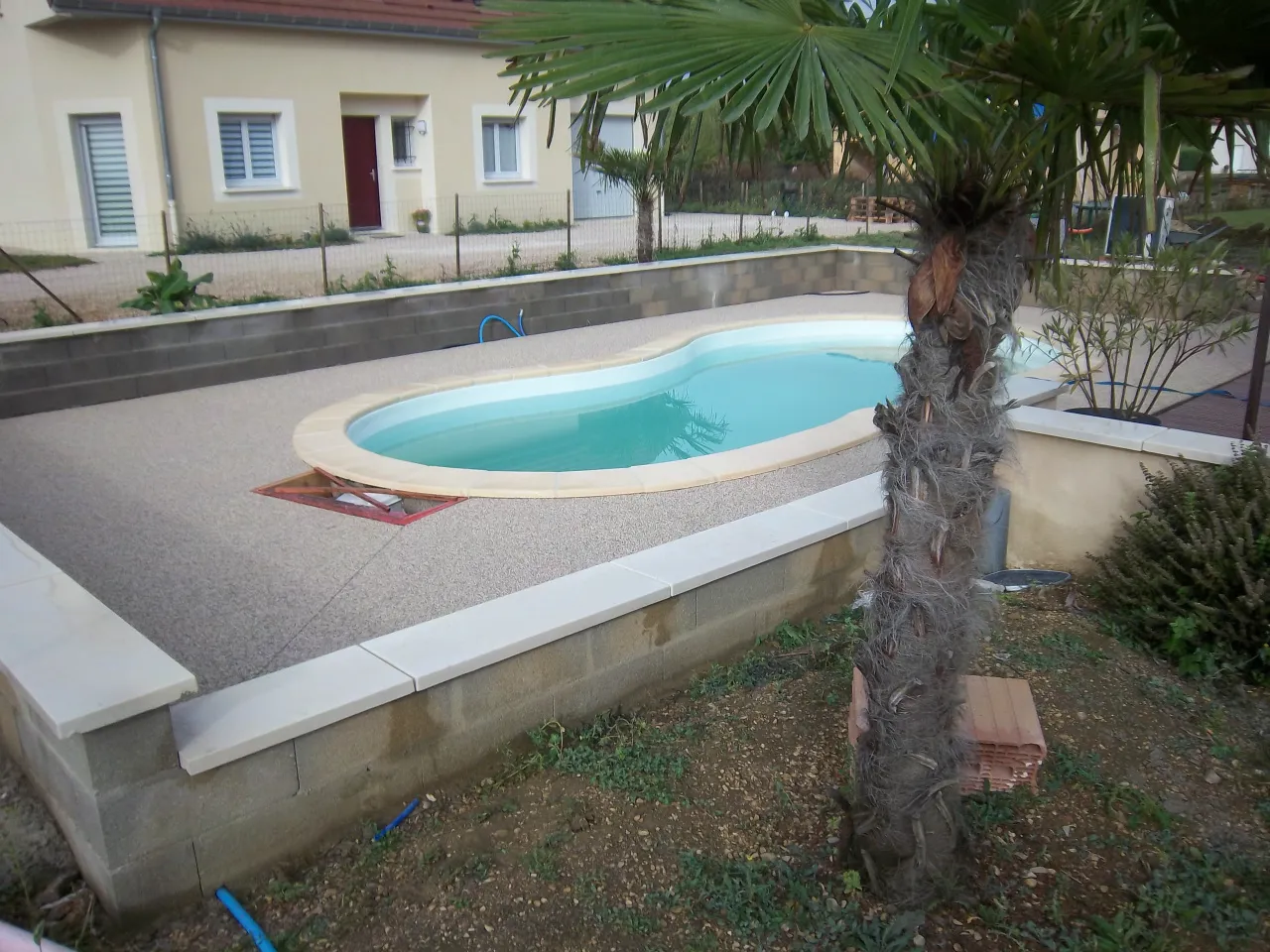 Béton désactivé autour du bassin, avec un palmier